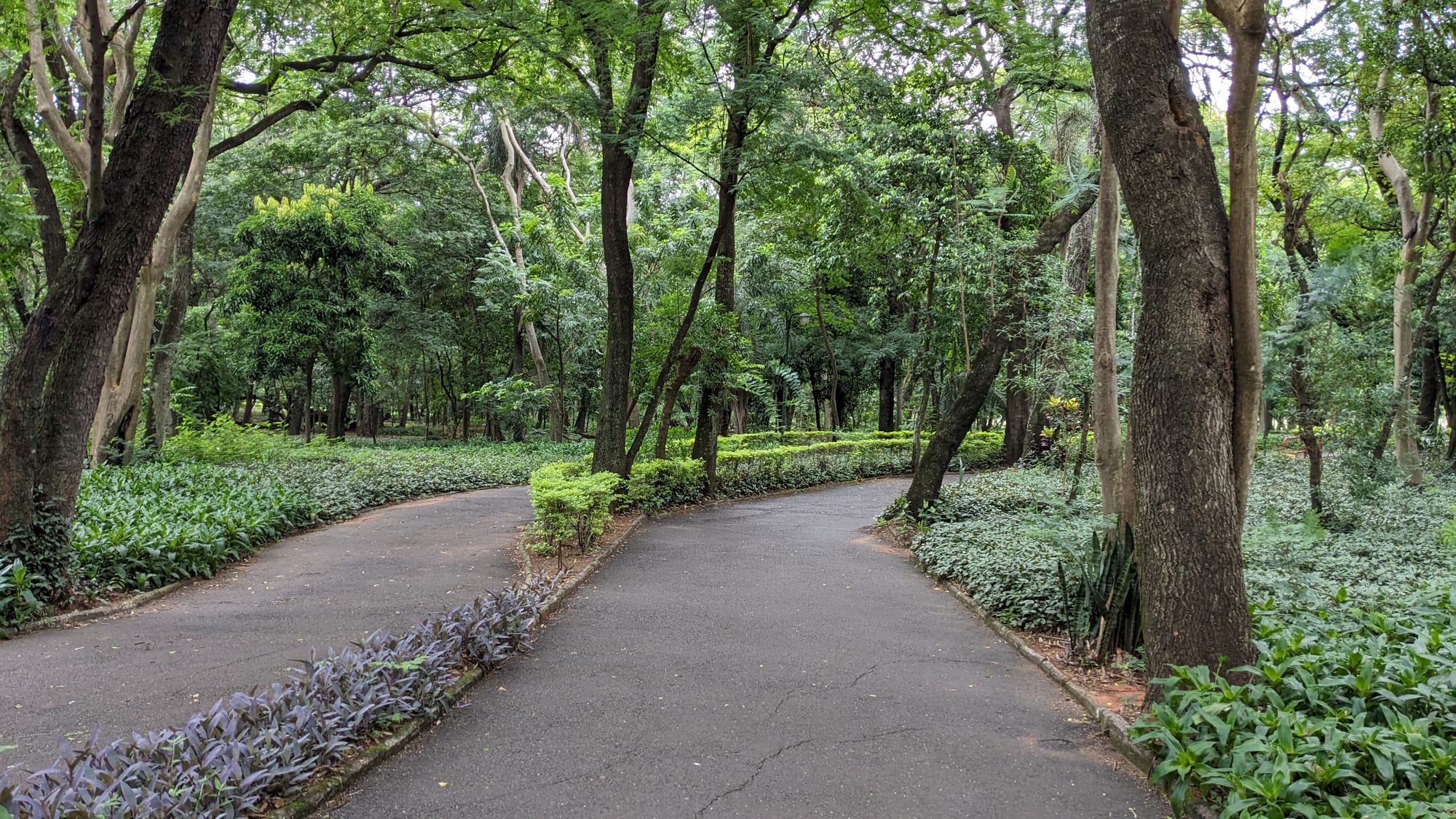 Parque de la Salud 现场照片 11
