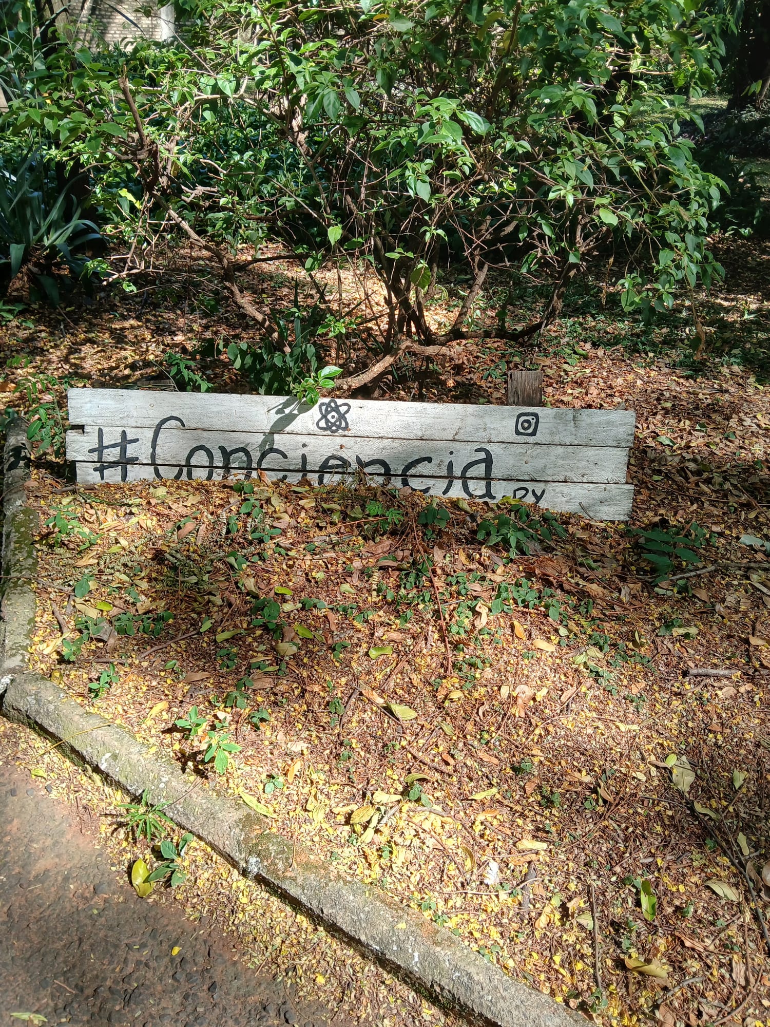 Parque de la Salud 现场照片 13