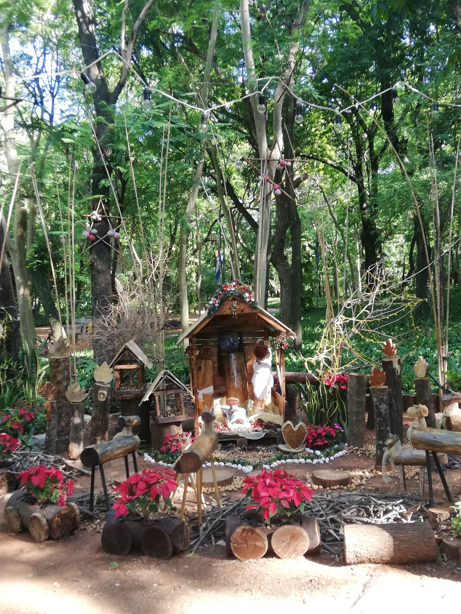 Parque de la Salud 现场照片 14