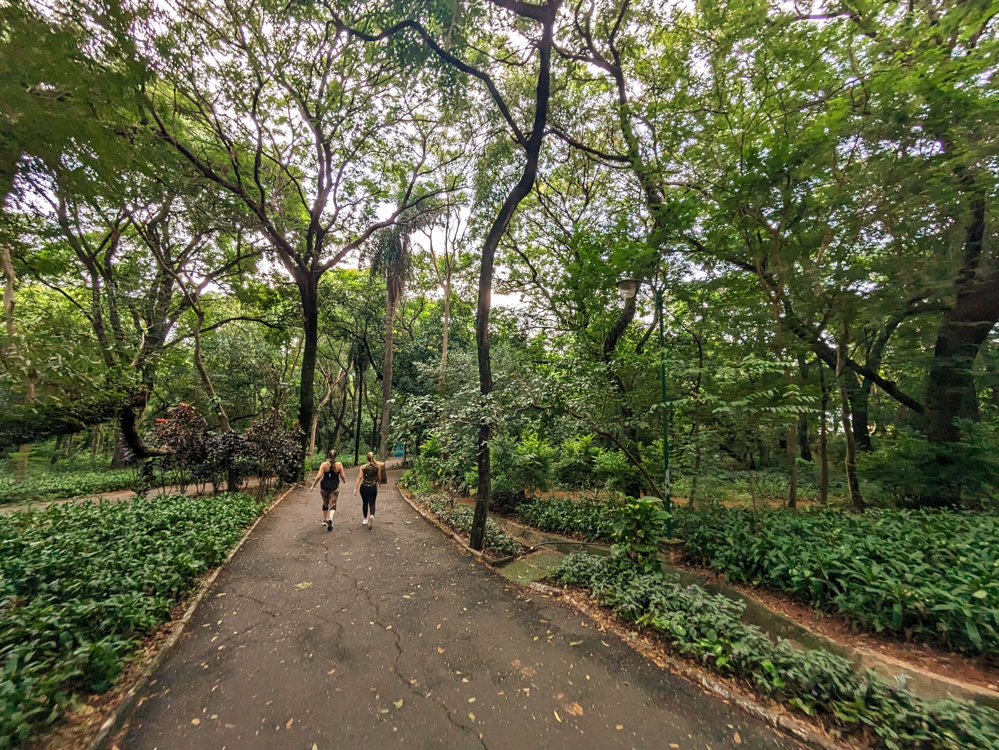 Parque de la Salud 现场照片 16
