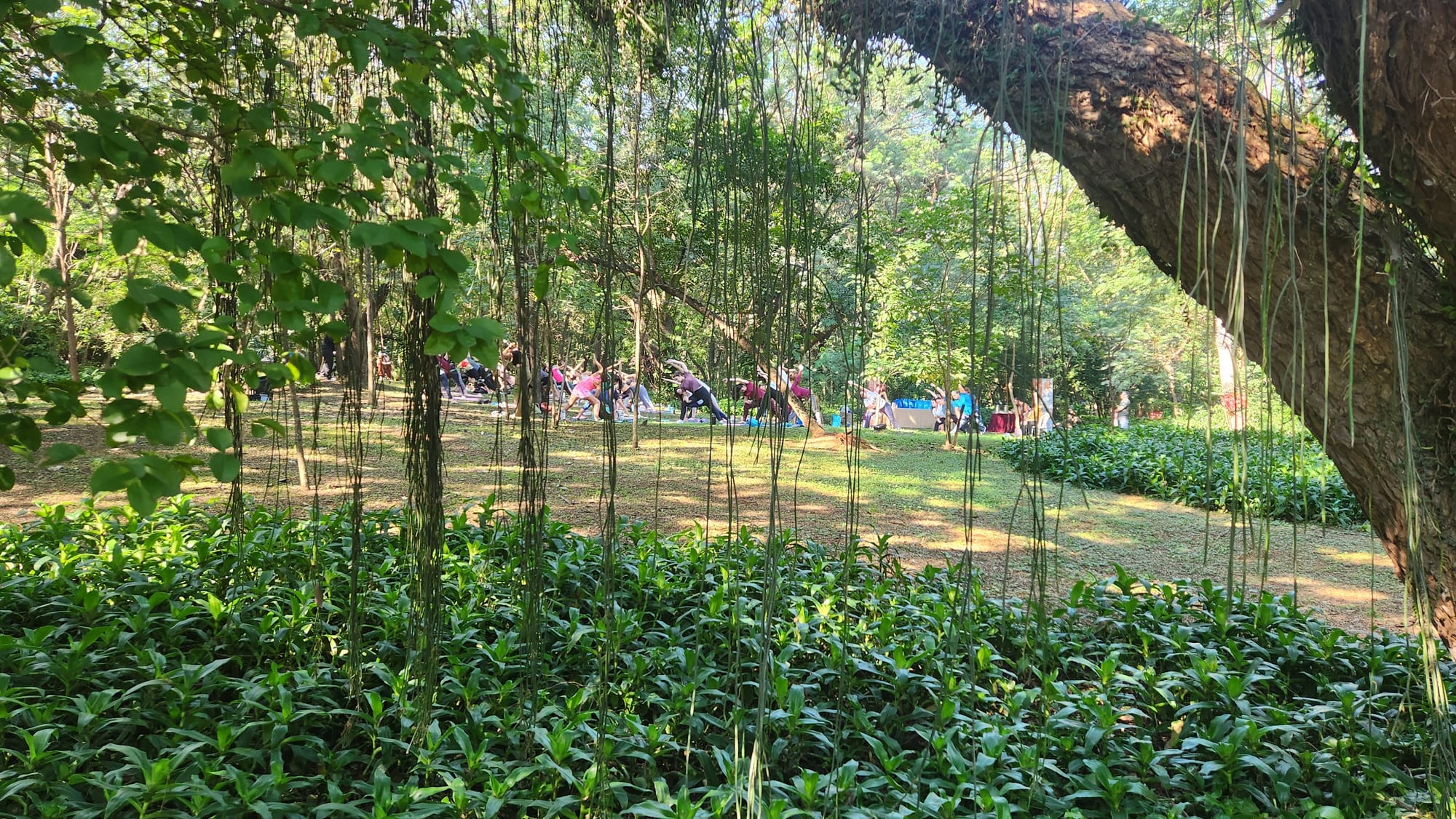 Parque de la Salud 现场照片 18