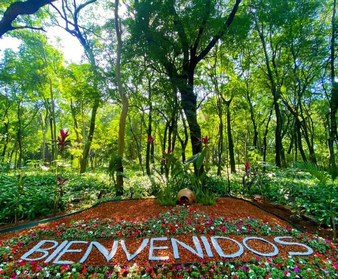 Parque de la Salud 现场照片 20